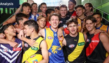 Analysis of all 18 AFL clubs and their draft picks, all rounds, all picks