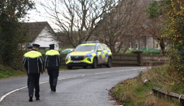 Five young people dead in ‘devastating’ road crash in Co Louth