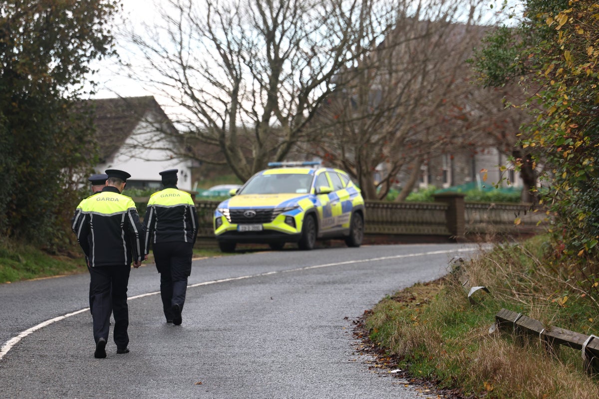 Five young people dead in ‘devastating’ road crash in Co Louth