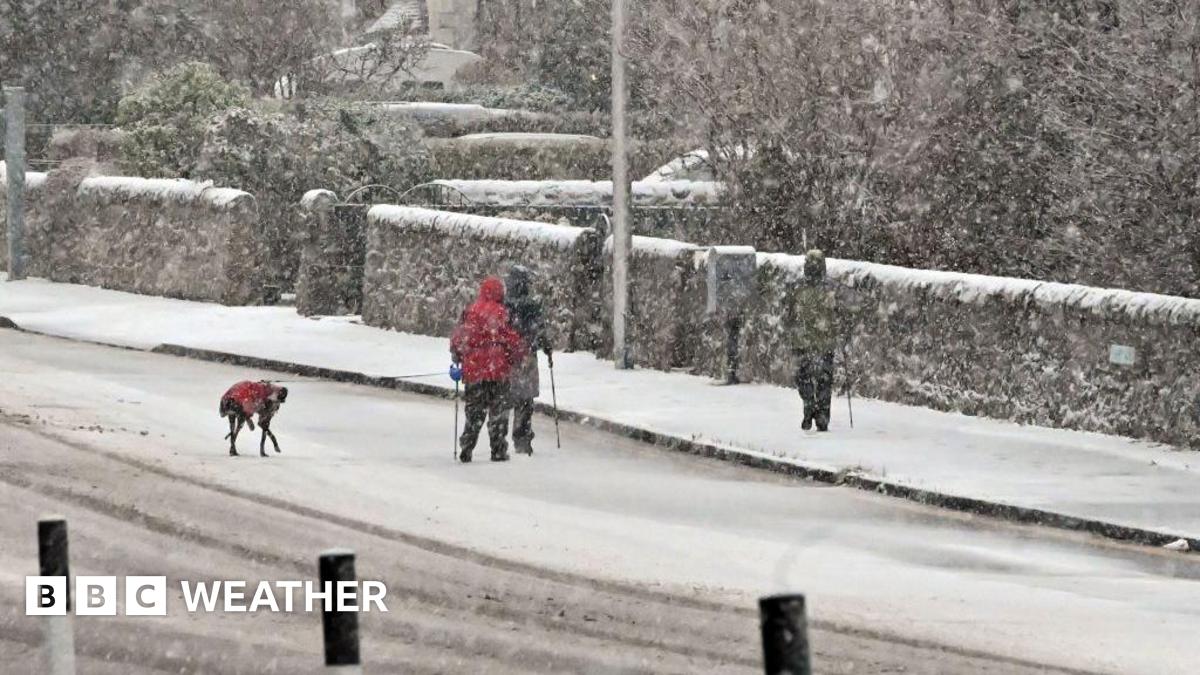 group of walkers and a dog walking on a road that is starting to get covered in snow.  Snowing is falling heavily