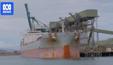 China agrees to import 65,000 tonnes of Australian canola after five-year lockout