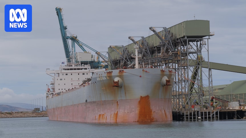 China agrees to import 65,000 tonnes of Australian canola after five-year lockout