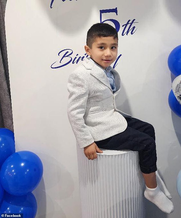 Ms Hussainzada died trying to rescue her young son, Farzad, six (pictured), on Monday