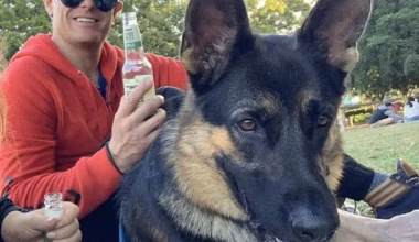 Nathan McKeown, 43, (pictured) has been charged over the alleged neglectful death of his dog, Arnie the German Shepherd