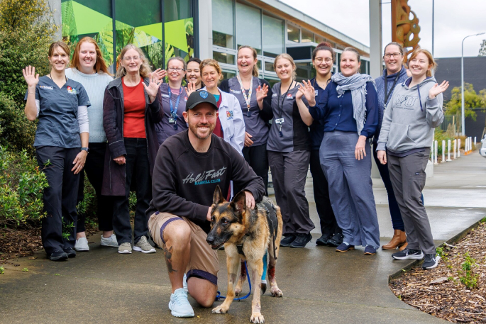 SunLive - Police dog's amazing recovery after horrific burns