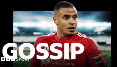 Mirror sports section