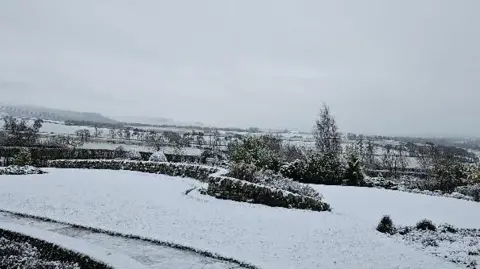 BBC Weather Watchers/Kaiser_Muldoon A snow-covered field with low walls and trees in the distance. It's a grey, cloudy day 