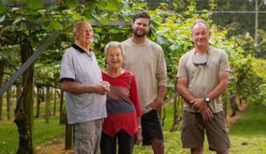 SunLive - A three-generation journey of kiwifruit success
