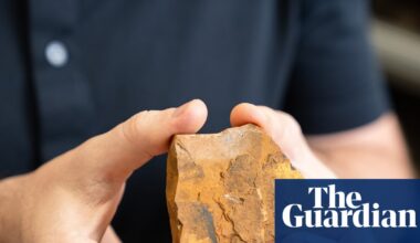 Retired Australian teacher discovers the oldest fossil of its kind in southern hemisphere – and a new species | Fossils