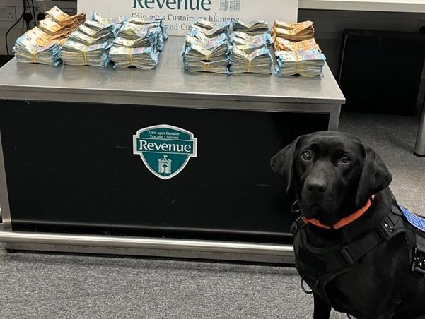 Almost €300k cash seized at Dublin Airport with the help of detector dog Maggie