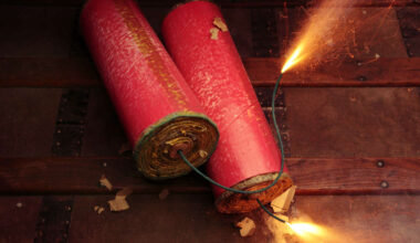 Information sought after firework kills a dog in Dunboyne