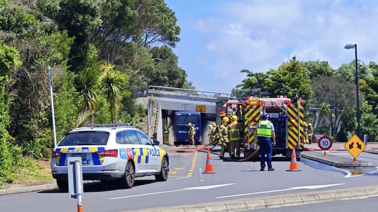 Emergency services attend a bus fire at Constellation Drive, North Shore.