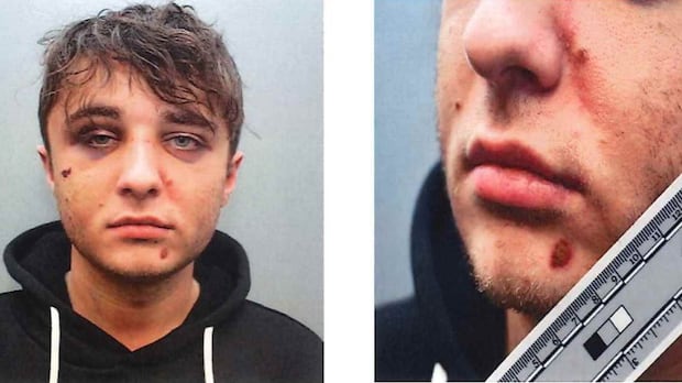 Kidnapper admits to beating, waterboarding ‘Crypto King’ Aiden Pleterski