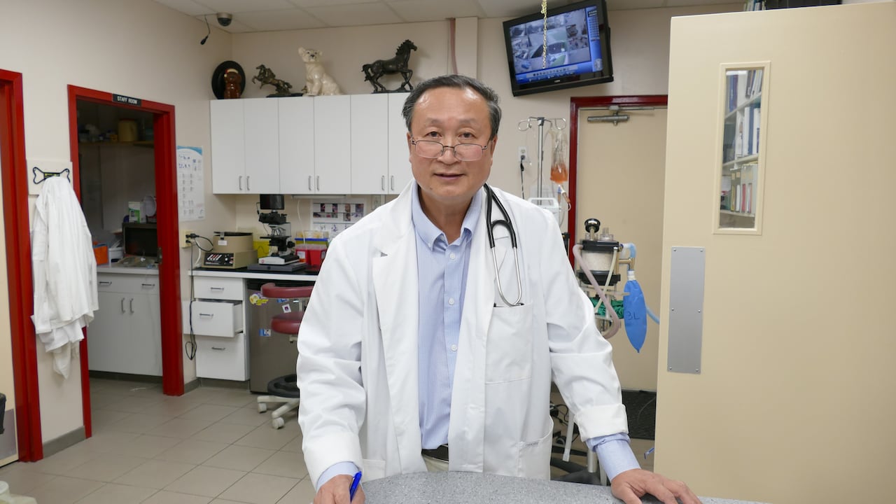 A veterinarian wearing a white coat stands in a vet hospital with a stethoscope over his shoulder. 