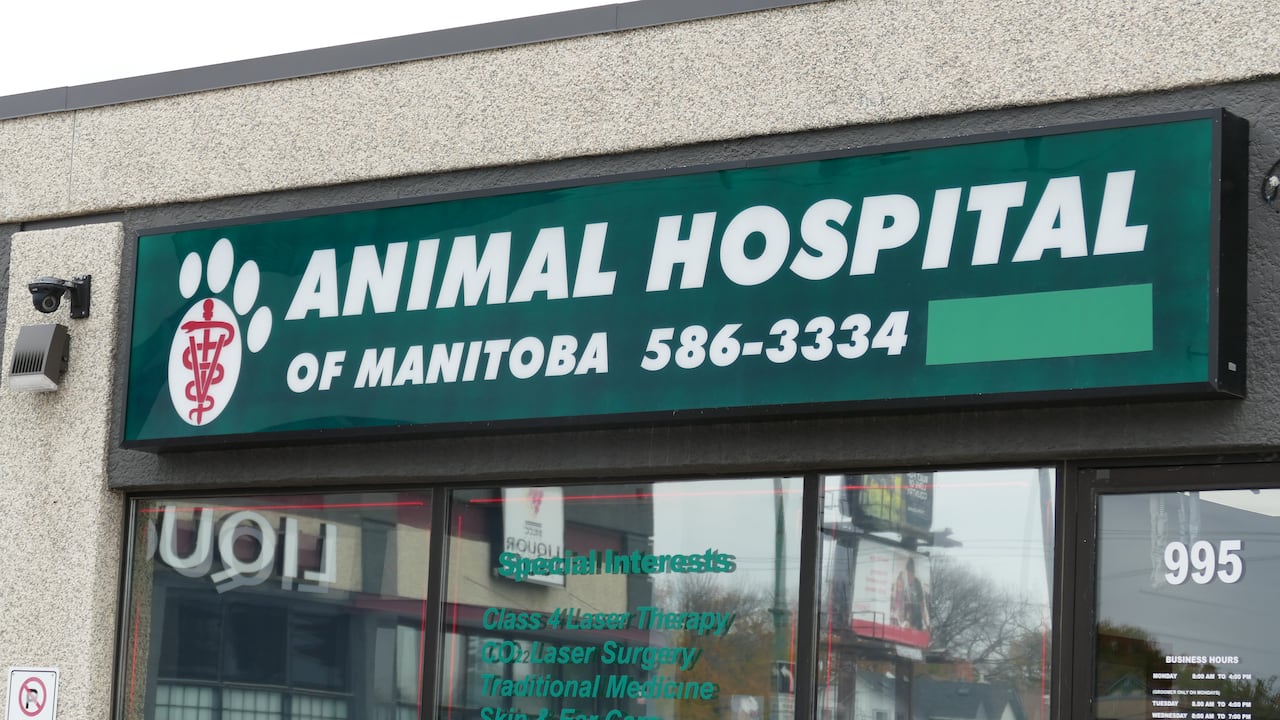 A sign on the front of a building says Animal Hospital of Manitoba in white printing on a green background with windows underneath it.