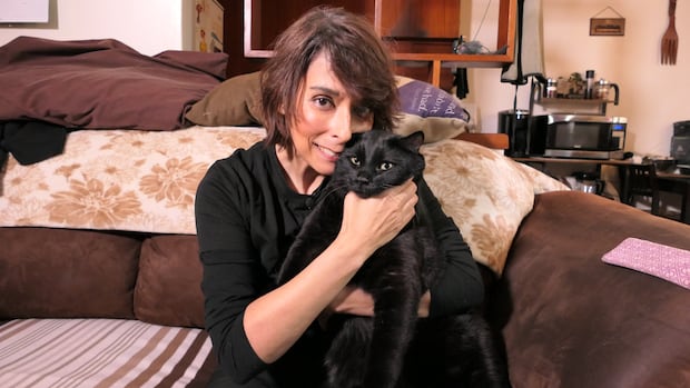 Winnipeg veterinarian ordered to end practice after surgery error led to cat’s leg being amputated