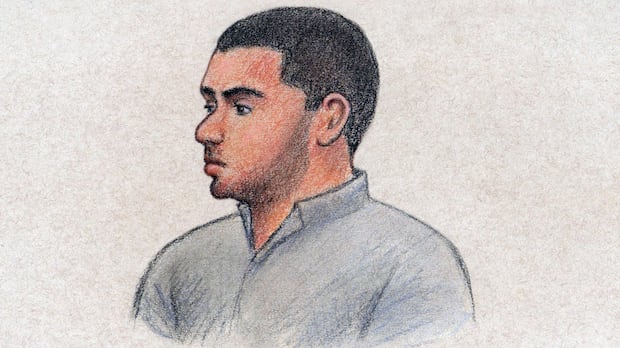 Accused in 2024 Ottawa mass killing expected to plead guilty