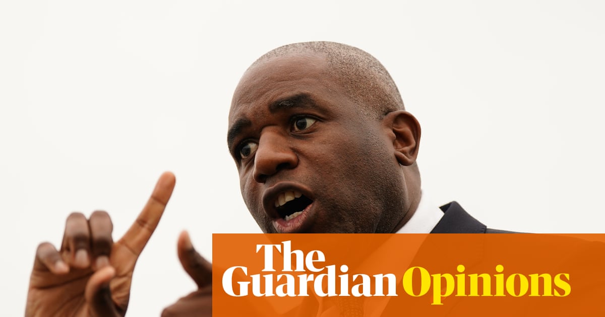 Why doesn’t Lammy just bring in a new policy of accidentally jailing people? | John Crace
