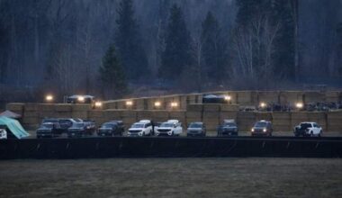 Ostrich cull complete at B.C. farm, flock of birds shot dead, CFIA says