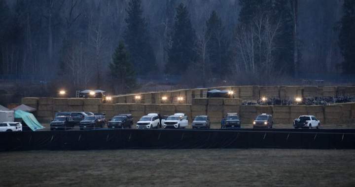 Ostrich cull complete at B.C. farm, flock of birds shot dead, CFIA says