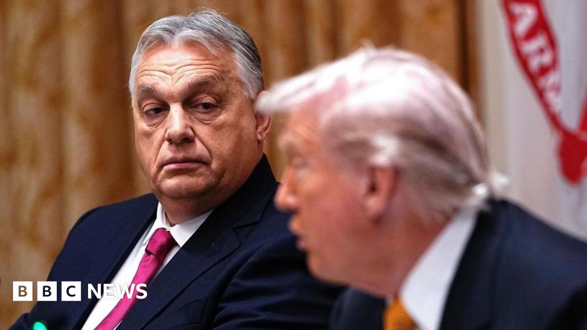 In the foreground, Trump is leaning forward and talking to someone off camera, while in the background, Orban is in focus and looking at him with no reaction.