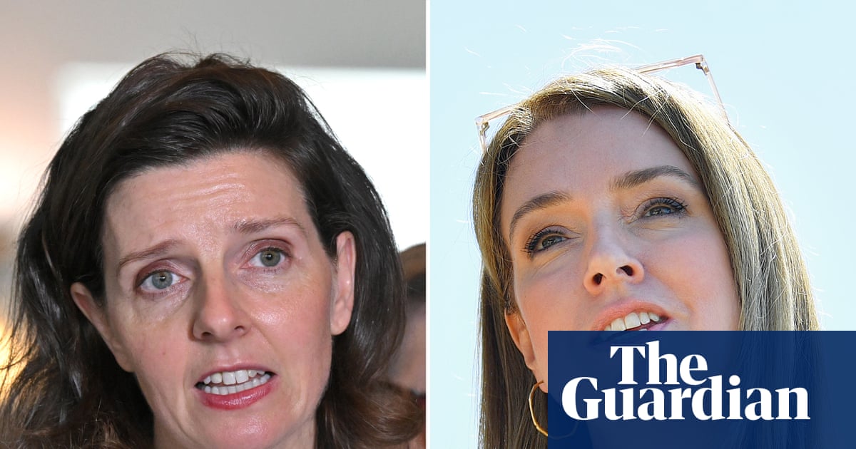 Two female MPs report death and rape threats after condemning neo-Nazi rally outside NSW parliament | New South Wales politics