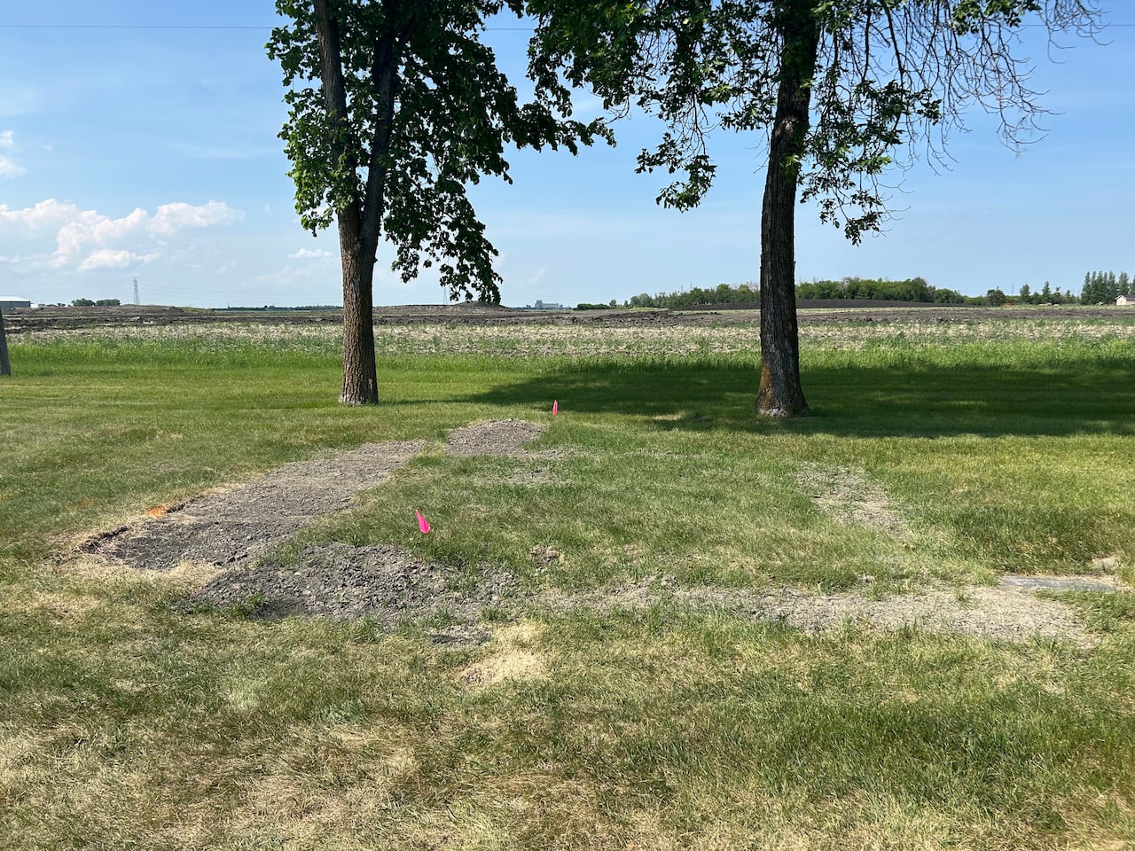 Earth dug up from a grave at a cemetery.
