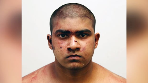 Guilty pleas for 1st-degree murder rare, legal experts say after sentencing of Ottawa family's killer