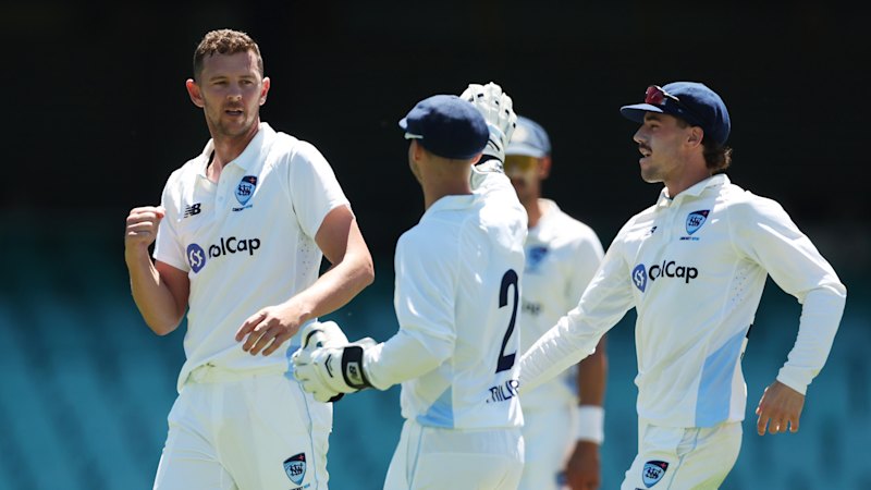 Josh Hazlewood, Sean Abbott injury assessments spark nervous wait ahead of Ashes openers