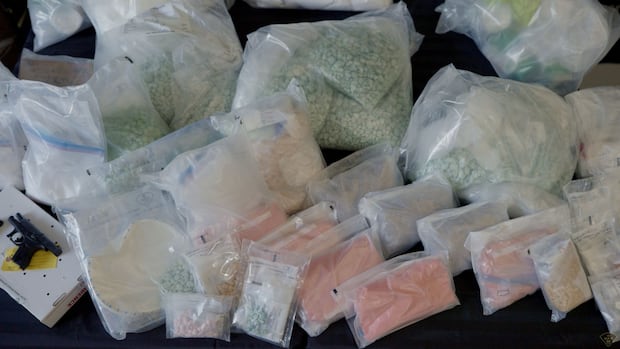 OPP say their largest-ever fentanyl bust was in Windsor