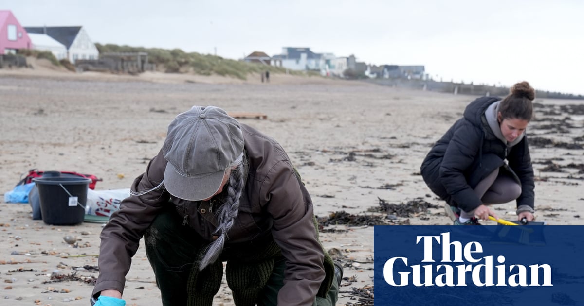 Plastic beads spreading on Sussex coast after ‘catastrophic’ spill, meeting told | Pollution