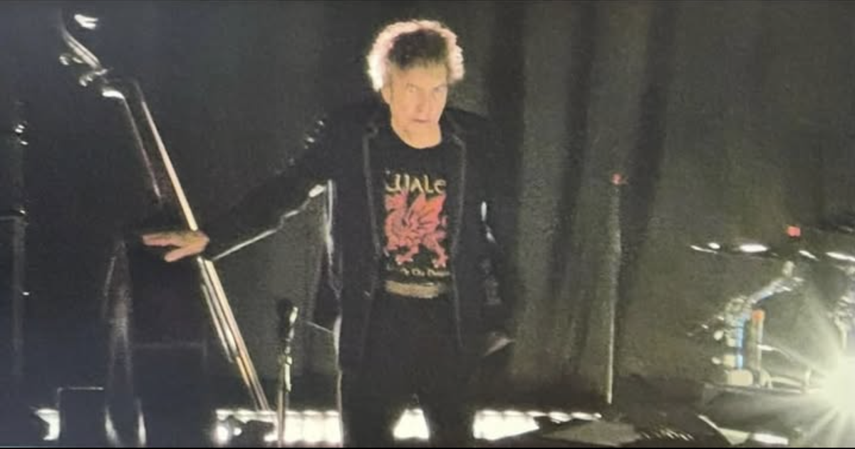 Bob Dylan sparks buzz after sporting Welsh dragon t-shirt in Swansea