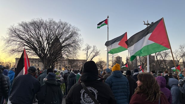 'Emotional, proud day' for Winnipeg's Palestinian community as province raises flag for 1st time