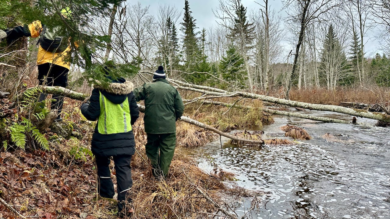 Three people in rain suits navigate a downed tree on the edge of a river.