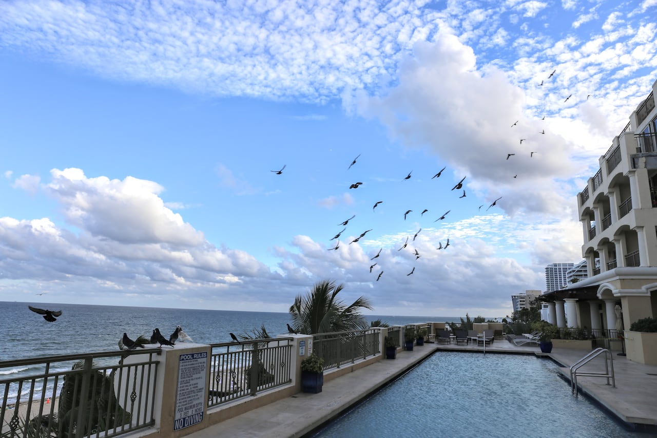 The ocean can be seen from the pool of a hotel.