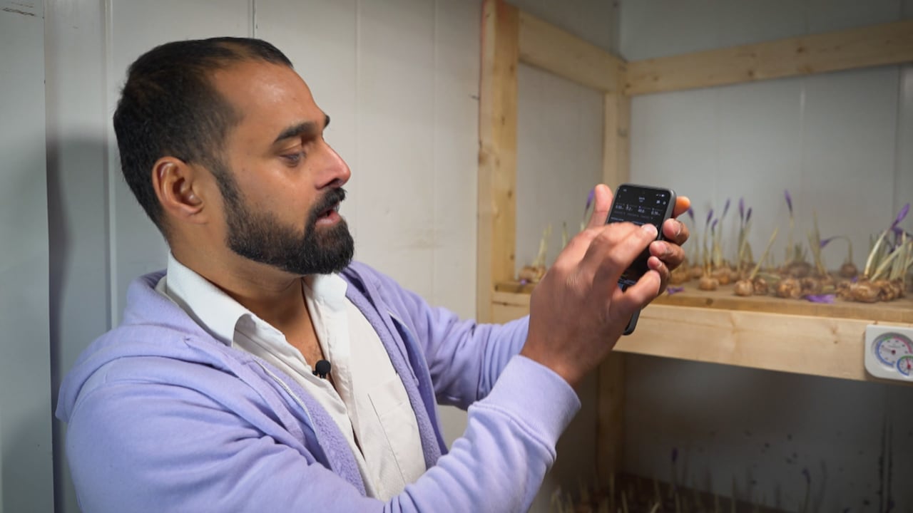 A man wearing a purple hoodie holds up his phone to show something on the screen.