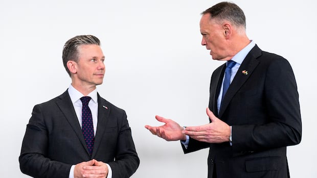 Sweden looking for Canadian partnership to ramp up fighter, surveillance plane production