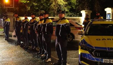 Man accused of Saggart sex attack on girl (10) is ‘fit to be tried’