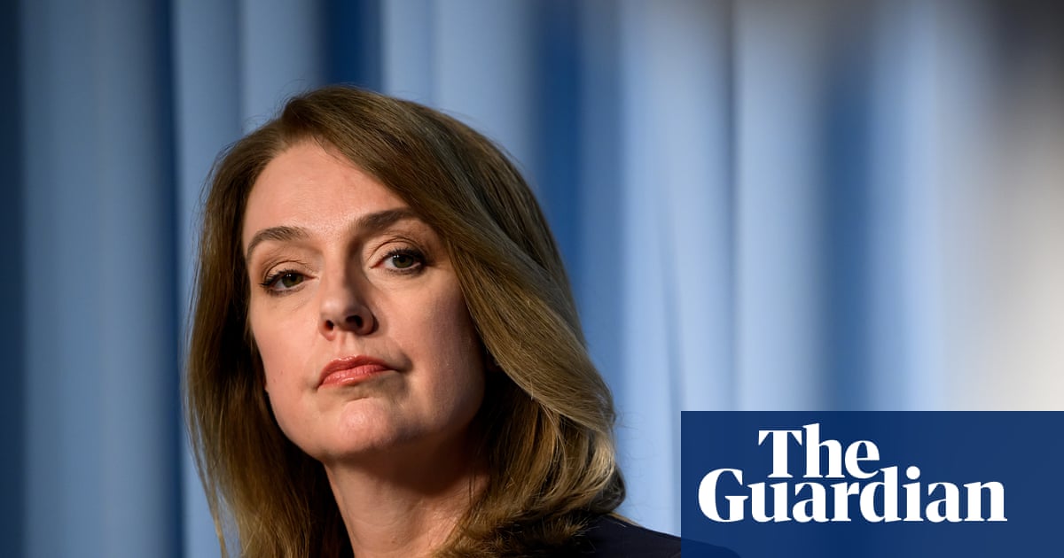 Who is Kellie Sloane, the new NSW Liberal leader – and can this first-term former journalist save the party? | New South Wales politics