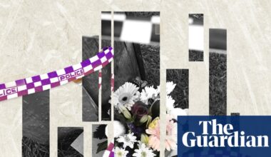 Statistically, there’s a reliable way to predict a domestic violence homicide like Hannah Clarke’s | Queensland