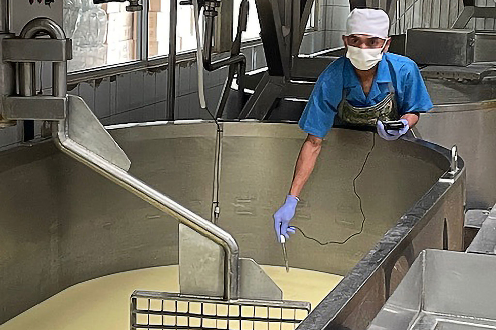 A worker checks the pH of semi-fermented milk as part of the cheese-productioin process. 