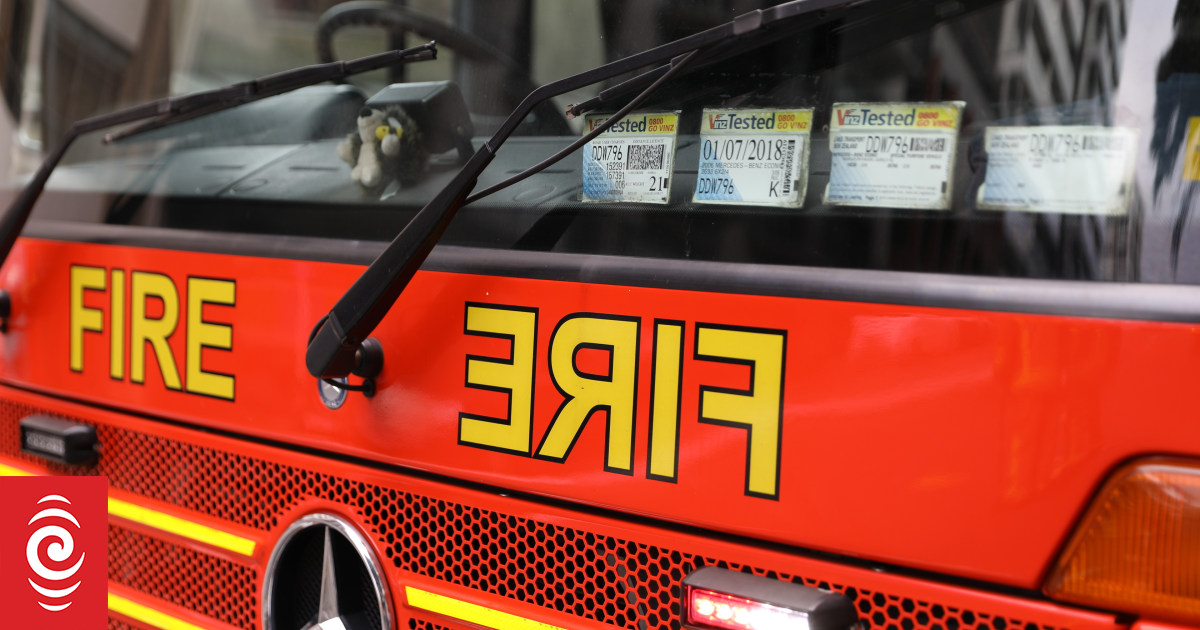 Cliff rescue in central Auckland suburb