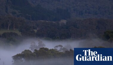 Three months without a trace: the many unanswered questions surrounding Dezi Freeman | Porepunkah shooting