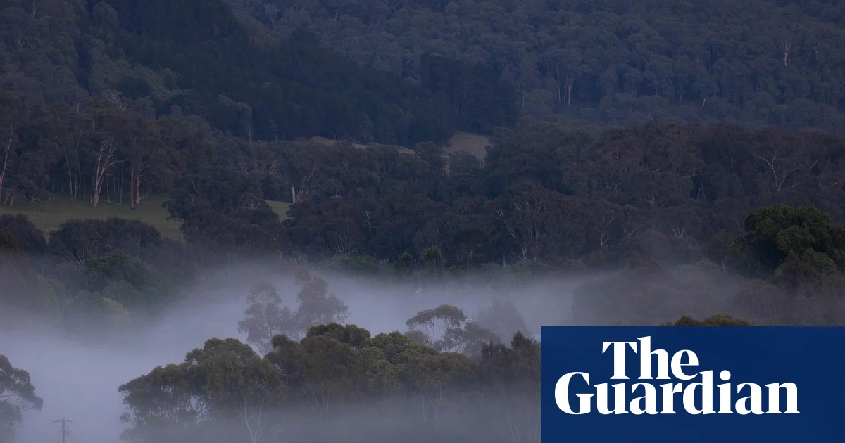 Three months without a trace: the many unanswered questions surrounding Dezi Freeman | Porepunkah shooting