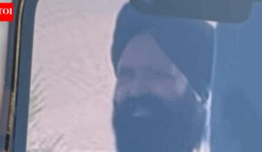 No entry ever: Indian man visits Canada to see newborn grandchild, harasses teens; faces deportation