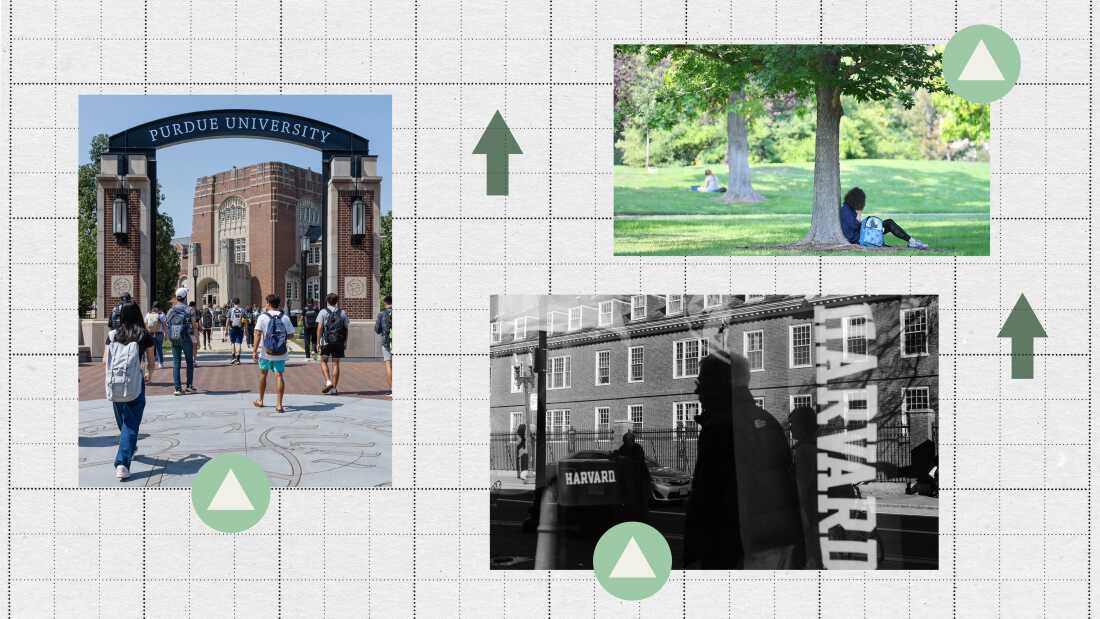 A collage of photos showing students walking under an arch that says Purdue University, a man walking past a Harvard sign and college students sitting under trees at the University of New Mexico. 