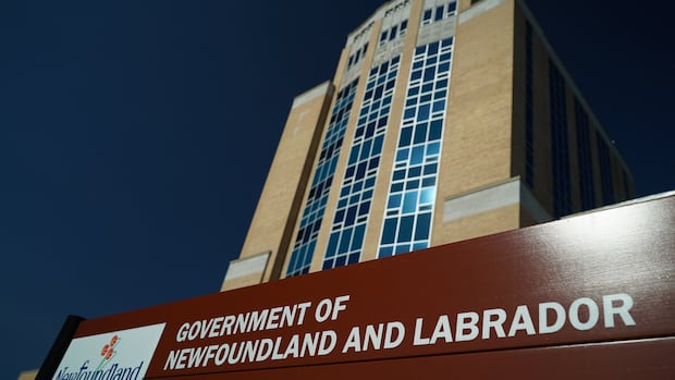 N.L. asks Deloitte to carry out review after 'incorrect' citations found in $1.6M provincial health plan