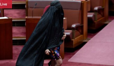 Pauline Hanson censured by Senate after burqa stunt, meets with Barnaby Joyce; Labor Nauru deal slammed by David Pocock, David Shoebridge; CareSuper probes Russian oil links