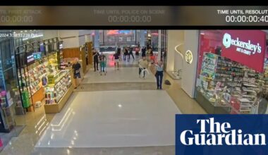 Bondi Junction stabbings: Joel Cauchi’s psychiatrist was belligerent and confrontational when giving evidence, inquest told | Bondi Junction stabbings