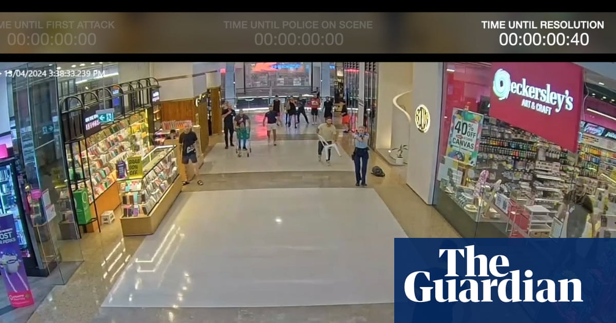 Bondi Junction stabbings: Joel Cauchi’s psychiatrist was belligerent and confrontational when giving evidence, inquest told | Bondi Junction stabbings